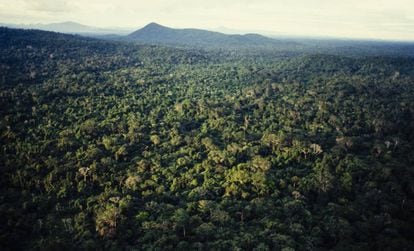 Vista aérea da Amazônia, no norte do Brasil.