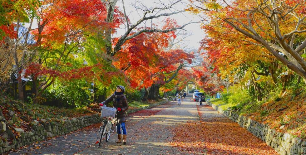 Rua de Quioto na plenitude do outono, a nordeste da cidade japonesa.