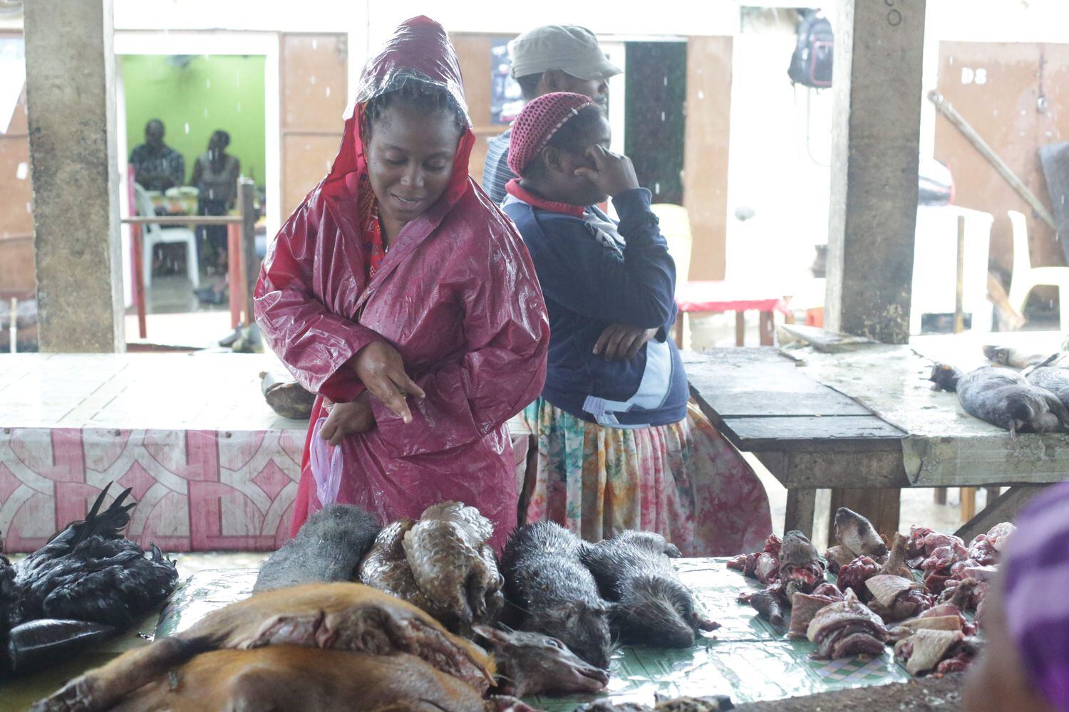 Os pangolins, no centro, são vendidos em mercados na África, como este em Libreville (Gabão), e em vários países da Ásia. Em vídeo, novas análises apontam o pangolim como uma possível fonte do coronavírus.