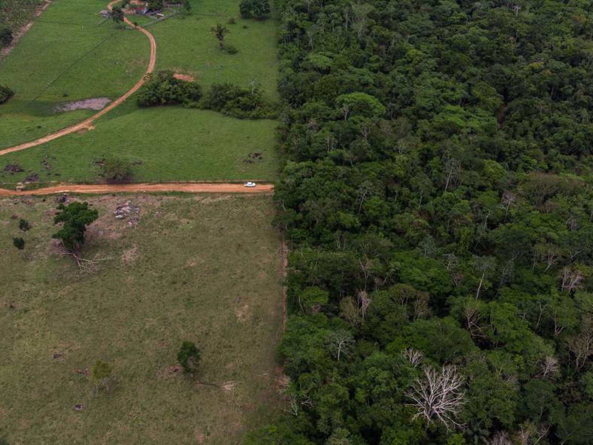 Estudo mostra que as é o estado com maior área de terras públicas  'sem destinação' na Amazônia Legal, as