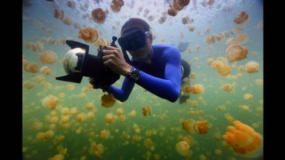 O ecologista marinho Enric Sala, no Lago das Medusas, em Palau
