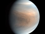 Una imagen de Venus tomada por la sonda japonesa 'Akatsuki'.