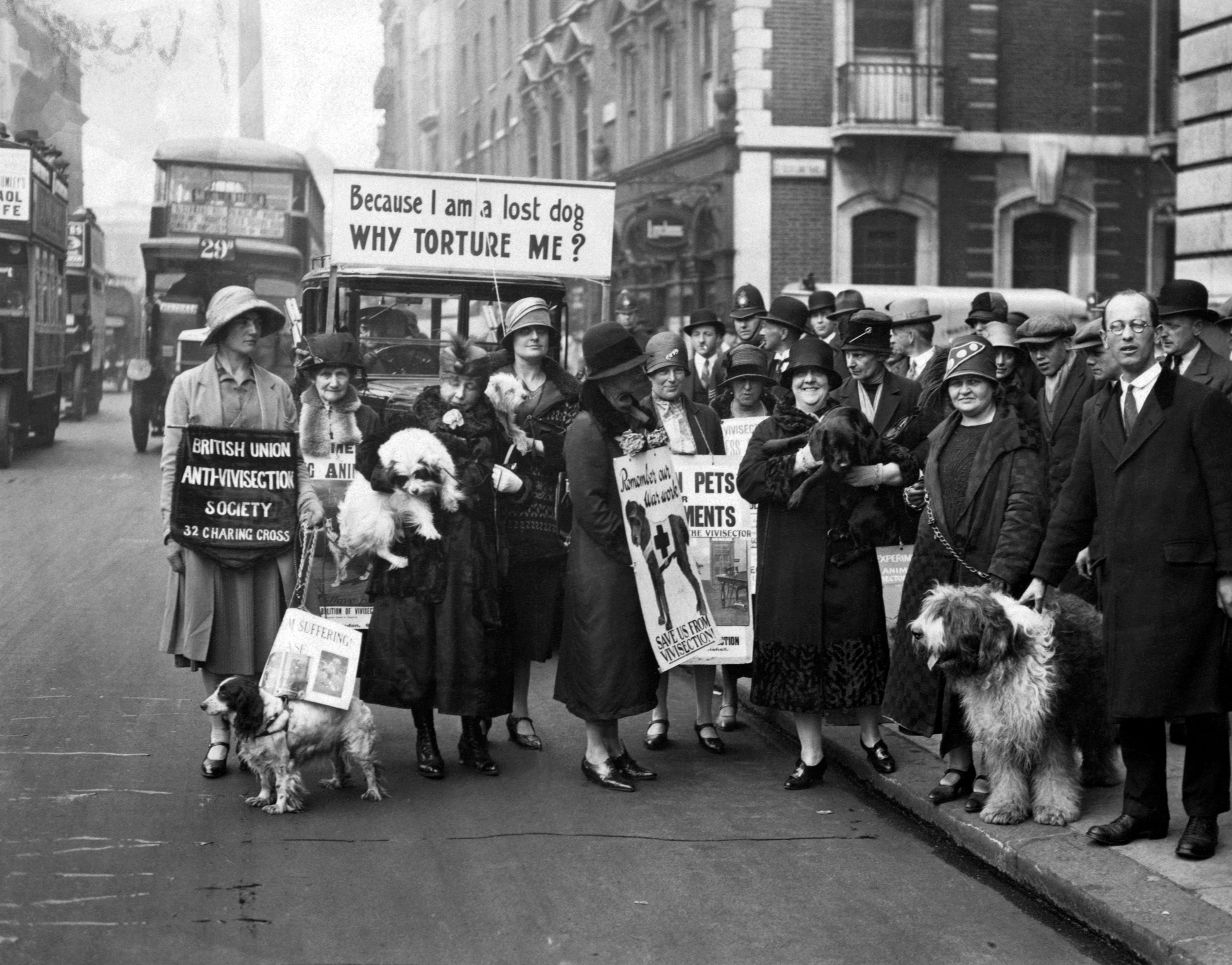 Manifestação de defensores dos animais em Londres, em janeiro de 1925.