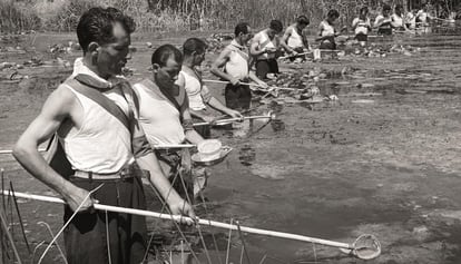 Brigada contra a malária para eliminar os mosquitos em Sardenha, Itália, nos anos de 1940.