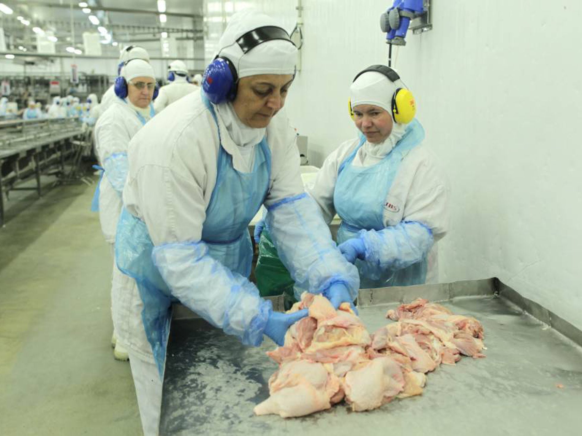 Carne Fraca: Com 18 toneladas de peru com salmonela, fiscais