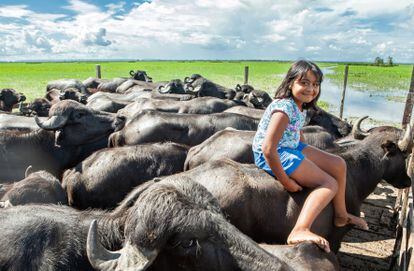 A estudante Sthefany do Amaral, de 9 anos, no lombo de um dos búfalos criados por seu pai, na resex Verde Para Sempre.