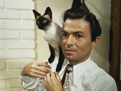 James Mason, protagonista de Lolita (Stanley Kubrick, 1962) posa com um gato siamês.