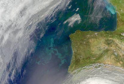Aglomeração de fitoplâncton na costa da Península Ibérica e, ao norte, no golfo de Biscaia.