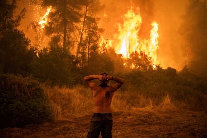Homem observa um grande incêndio florestal que se aproxima da aldeia de Pefki na ilha de Evia (Eubeia), a segunda maior ilha da Grécia, neste domingo.