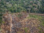 Área no Acre onde já houve desmatamento e queimada. Um levantamento do site InfoAmazonia, com base em dados públicos, indica que entre os dez municípios com mais incêndios no país, sete estão entre os que também mais sofreram com desmatamento anterior.