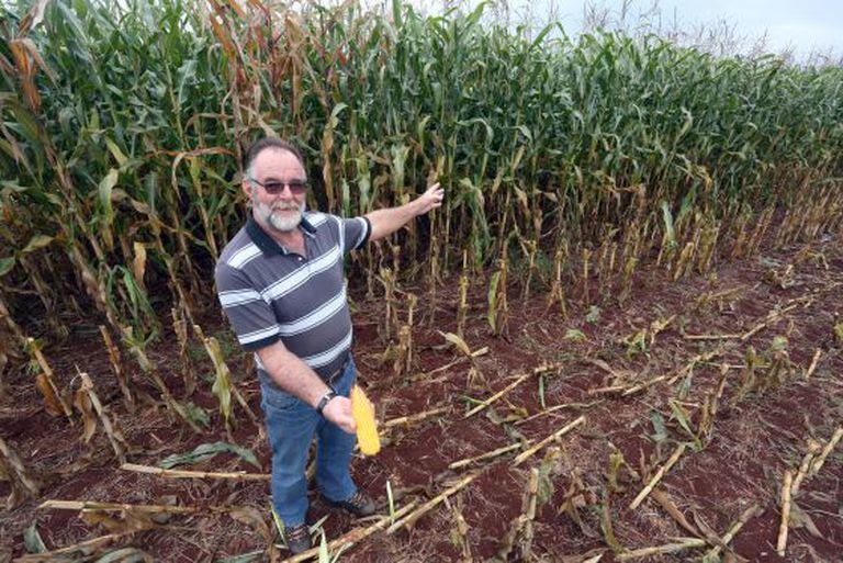 O produtor de milho Aker Van Der Vinne, em Maracaju.