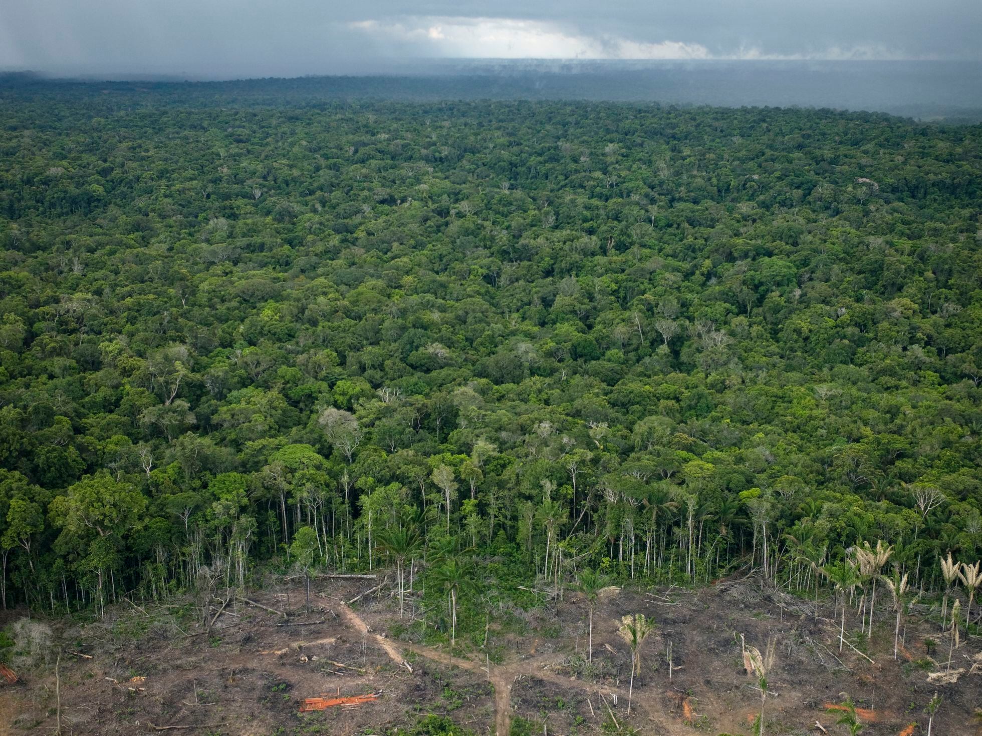 Amazônia: Desmatamento tem segunda maior cifra da série, diz Inpe