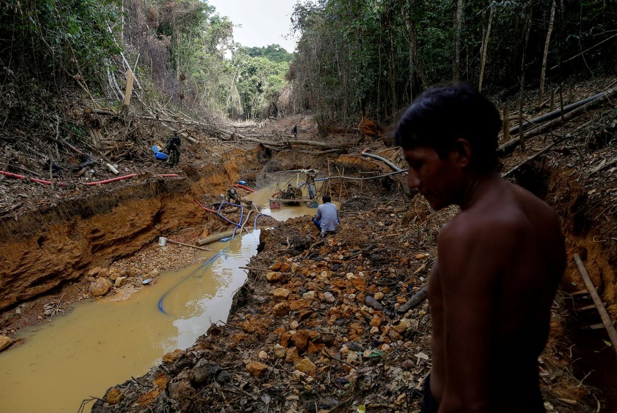 Garimpeiro Que Invadiu Terra Yanomami Nos Anos 80 é Líder Dos Lobistas