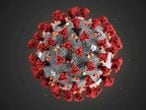 FILE PHOTO: The ultrastructural morphology exhibited by the 2019 Novel Coronavirus (2019-nCoV), which was identified as the cause of an outbreak of respiratory illness first detected in Wuhan, China, is seen in an illustration released by the Centers for Disease Control and Prevention (CDC) in Atlanta, Georgia, U.S. January 29, 2020. Alissa Eckert, MS; Dan Higgins, MAM/CDC/Handout via REUTERS.  THIS IMAGE HAS BEEN SUPPLIED BY A THIRD PARTY. MANDATORY CREDIT/File Photo