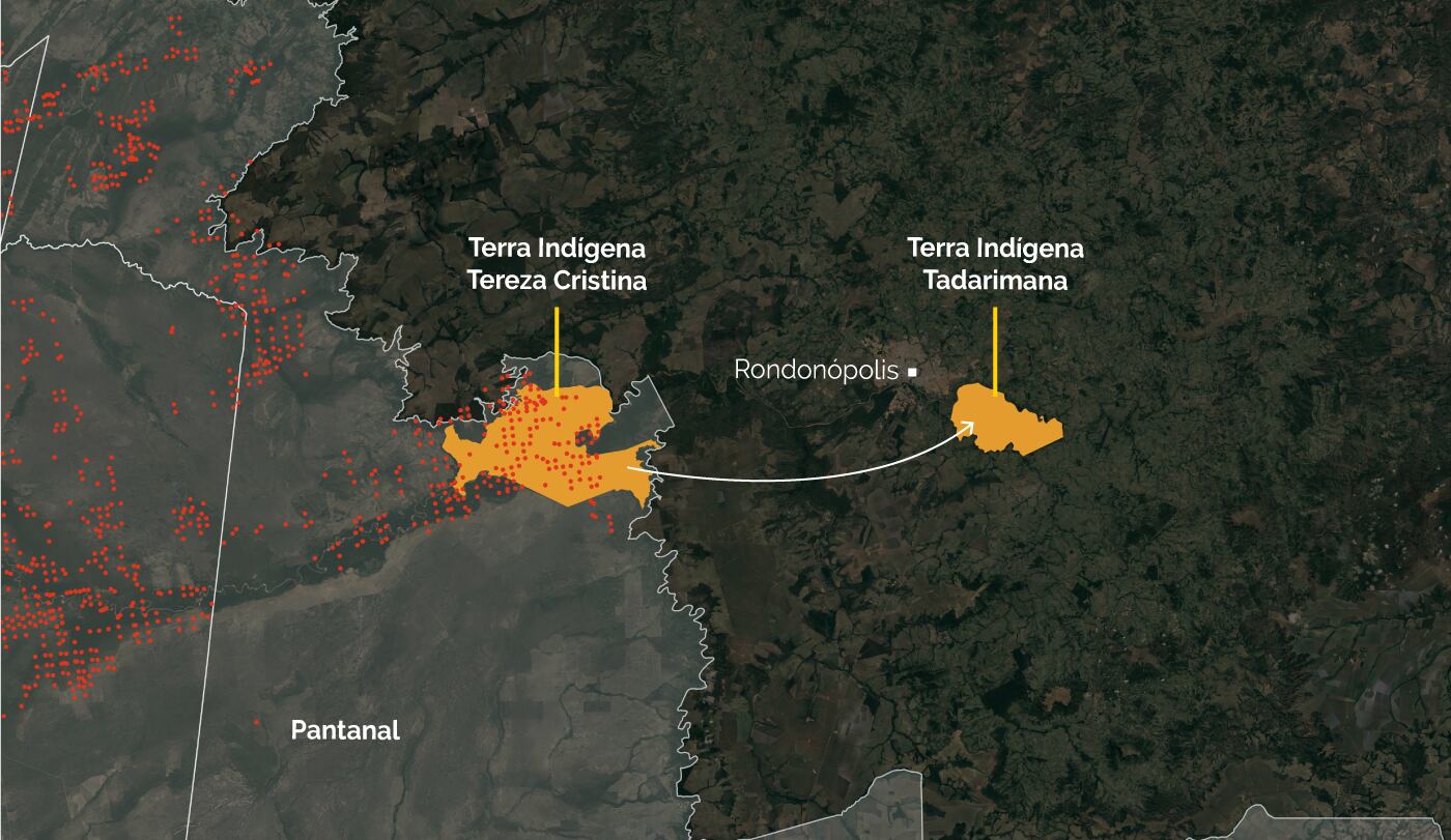 Indígenas relataram que, terra Tadarimana, próximo a Rondonópolis e fora do Pantanal, sofreu antes com as queimadas. Pessoas precisaram ir para lá quando as queimadas passaram à terra Tereza Cristina, em agosto e setembro.