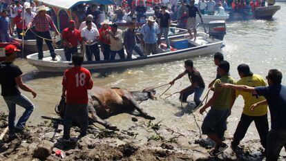 A festa popular mexicana que maltrata os touros velhos