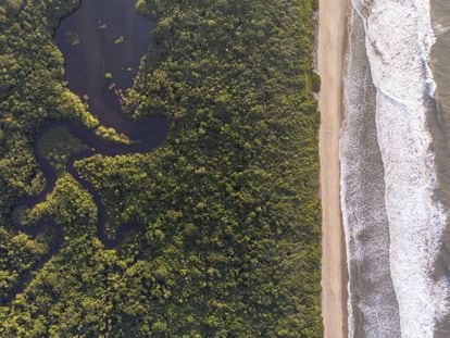 A região do Rio Verde é considerada o coração da Estação Ecológica Jureia-Itatins