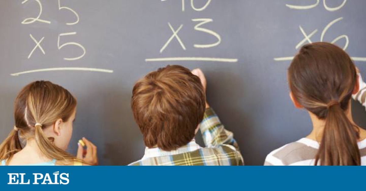 Matemática é ensinada de forma errada e equivocada nas escolas