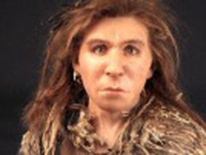 O DNA extraído dos restos de uma mulher neandertal da Sibéria sugere relações sexuais durante dezenas de milhares de anos