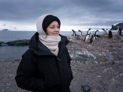 A atriz Marion Cotillard visita a ilha Trinity em expedição do Greenpeace. 