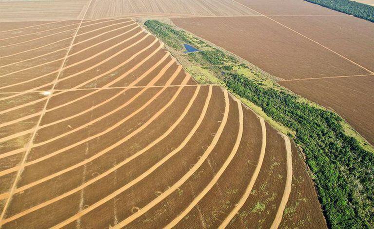 Campos de cultivo em Mato Grosso, Brasil.