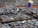 Secagem de barbatanas de tubarão no telhado de uma edificação na China.