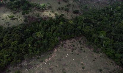 Desmatamento em torno de área indígena na Amazônia.
