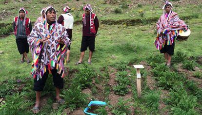 Agricultores no Parque da Papa Pisaq, em Cusco, no Peru.