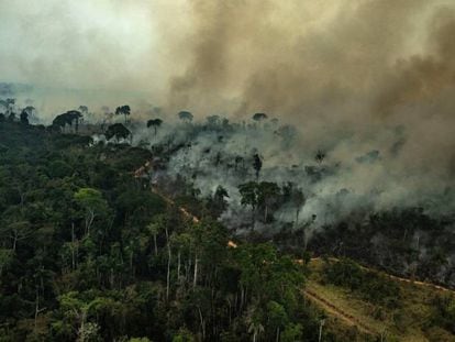 Incêndio em Alta Floresta no Estado do Pará, em 23 de agosto.