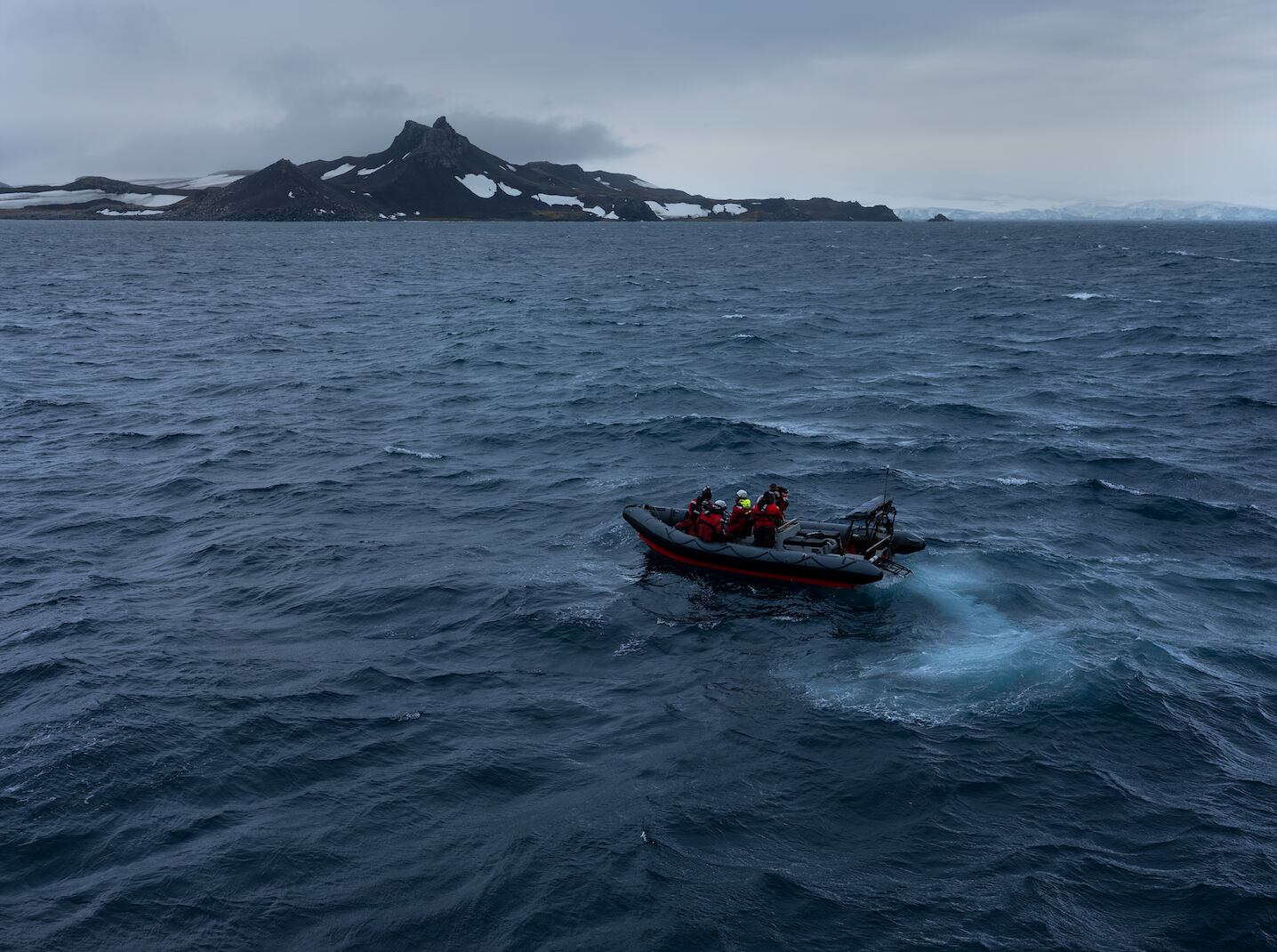 Cientistas coletam pela primeira vez o DNA de espécies que vivem na região de Discovery Bay, na Antártida.