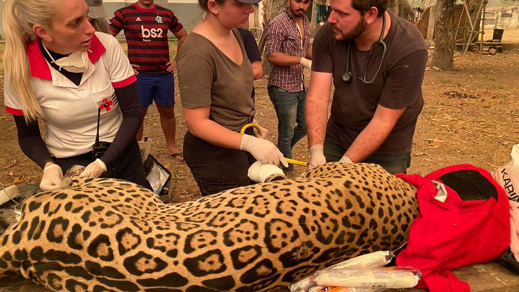 Que tal voltar a jogar queimada? - Jornal do Guará