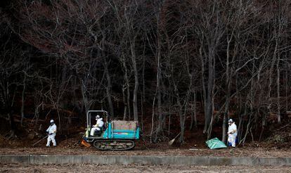 Grupo de operários trabalha na descontaminação em um bosque nos arredores da central de Fukushima (Japão) em fevereiro de 2015.