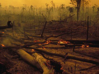 Desmatamento e mudança climática, em 10 imagens