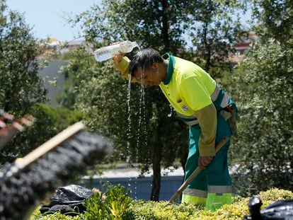 Jardineiro de Madri se refresca durante uma onda de calor de verão.