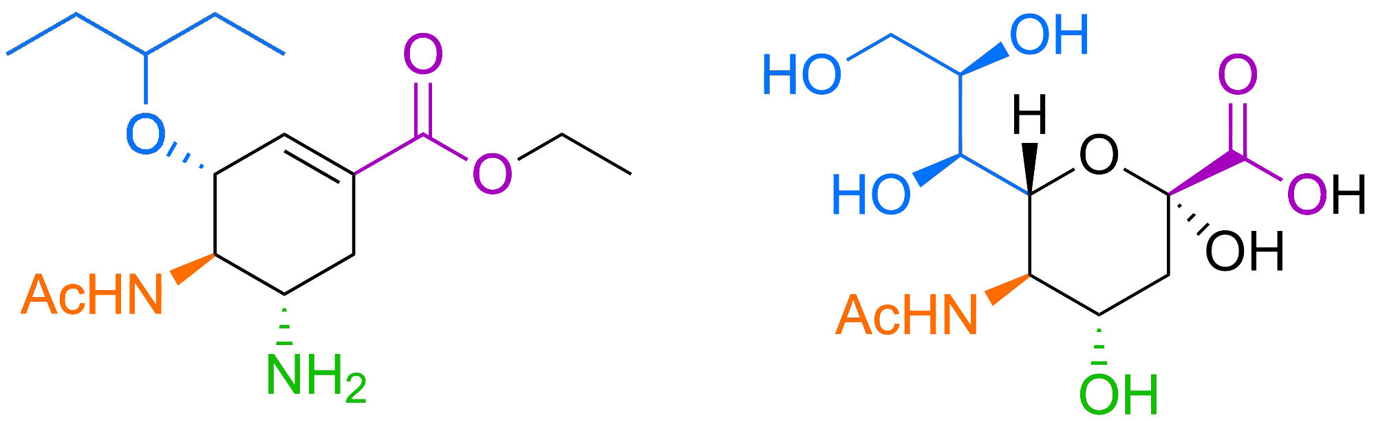Estrutura química do antiviral Tamiflu (à esquerda), usado contra o vírus da gripe, e do ácido siálico, um açúcar que faz parte do revestimento de glicano de nossas células (à direita).