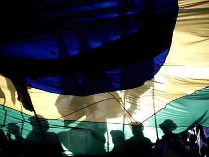 Manifestantes com a bandeira brasileira em Brasília.
