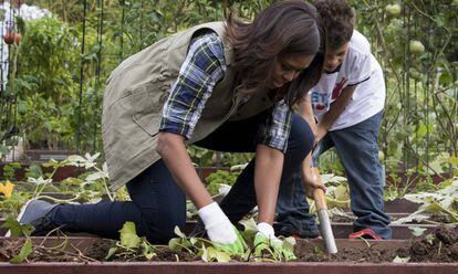 Michelle Obama plantando batatas na horta da Casa Branca.