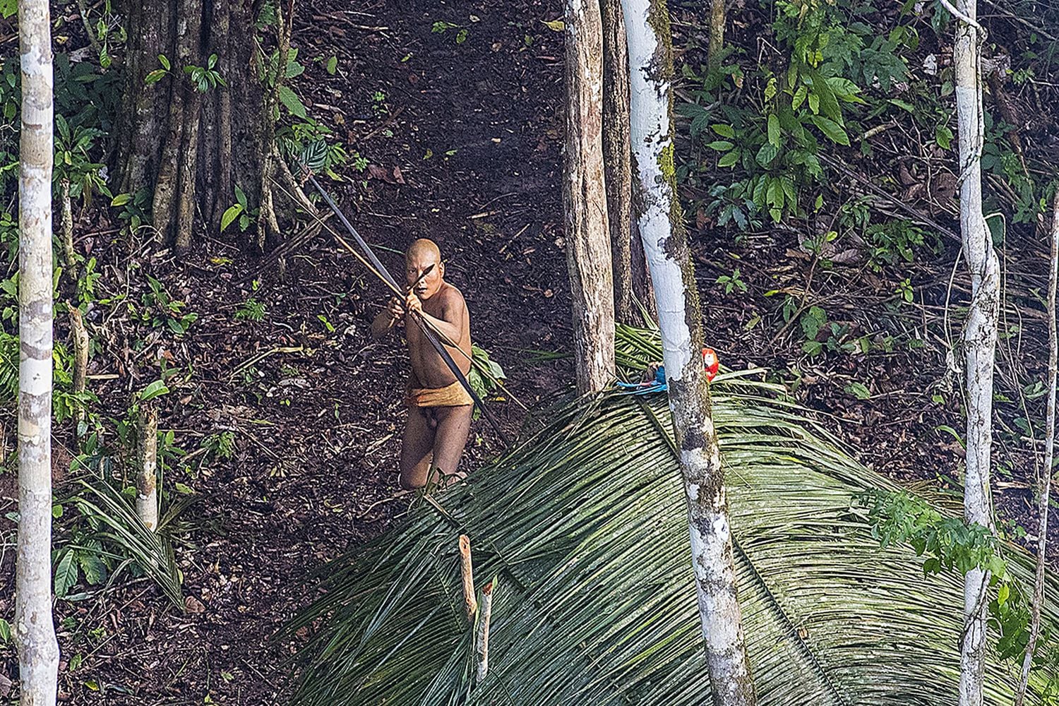Um dos índios isolados fotografado no Acre em 2016 durante um sobrevoo. Integrantes do mesmo povo já visitaram um povoado naquela região da Amazônia brasileira, na fronteira com o Peru.