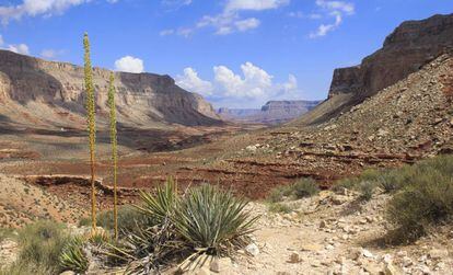 Rota para a aldeia do Supai, no cânion de Havasu (Arizona)