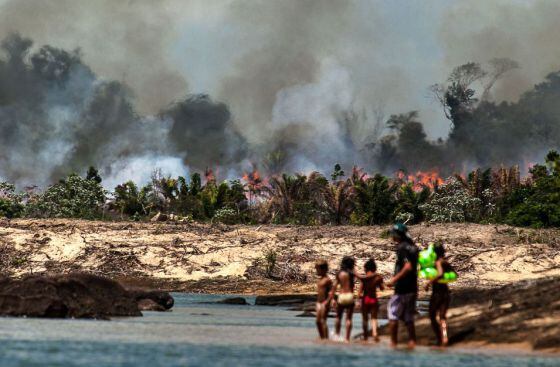 Uma das ilhas do Xingu, desmatada e queimada para o enchimento do lago de Belo Monte, por Lilo Clareto.
