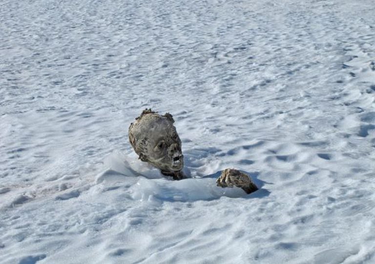 Foto da múmia encontrada no Pico de Orizaba, feita por Israel Ángel Mijangos.