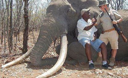 Cada presa do elefante pesava 55 quilos.