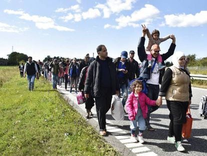 Refugiados, a maioria sírios, caminham por uma estrada da Dinamarca.