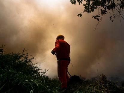 18 de novembro de 2021. Incêndio no Parque do Cocó, em Fortaleza, no Ceará, atinge uma área de 46 hectares.