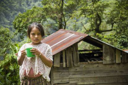 A Ação Contra a Fome presta assistência às comunidades rurais atingidas pelas secas na América Central, especialmente crianças em situação de risco e desnutrição.