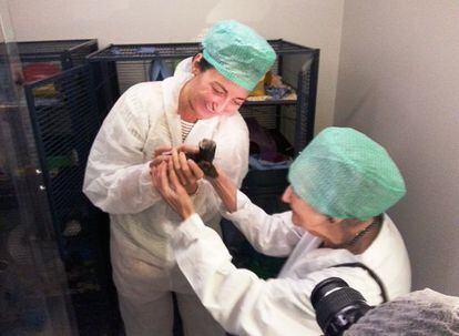 May-Brirr Moser mostra um rato à renomada cientista de 96 anos Brenda Milner.