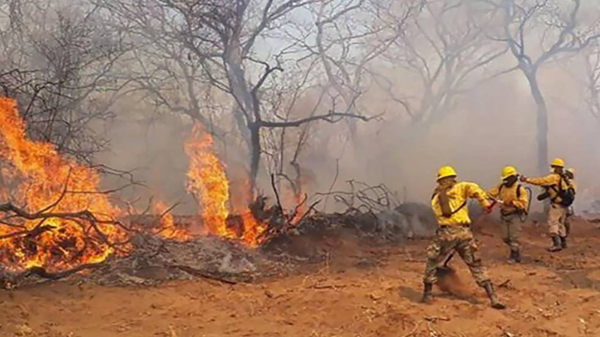 Incendios intencionados em EL PAÍS Brasil