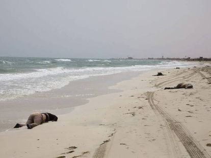 Vários cadáveres apareceram em uma praia a oeste de Trípoli.