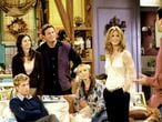 'Friends' solía incorporar cameos de personajes famosos, como Bruce Willis, Danny DeVito, Elle McPherson, Julia Roberts, Vince Vaughn...  En noviembre de 2001 llegó uno de los más esperados: el de Brad Pitt, que coincidía así en pantalla con su entonces esposa. Fue en la octava temporada e interpretadba a Will, un amigo de Ross (David Schwimmer) que criticaba a Rachel (Aniston) y con quien tenía un club llamado 'Odio a Rachel Green'.