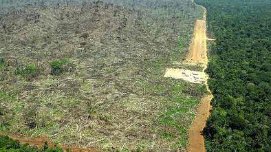Amazonia deforestada en Brasil para plantar soja.